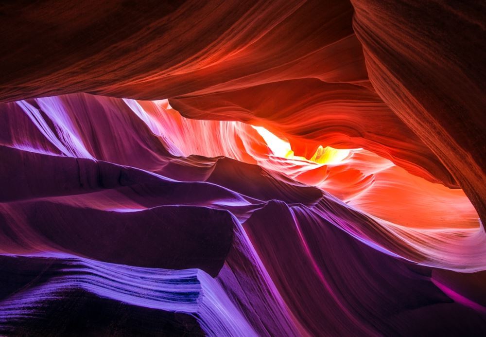 TeamTour West + Mini Yosemite & Extended San Francisco — 6